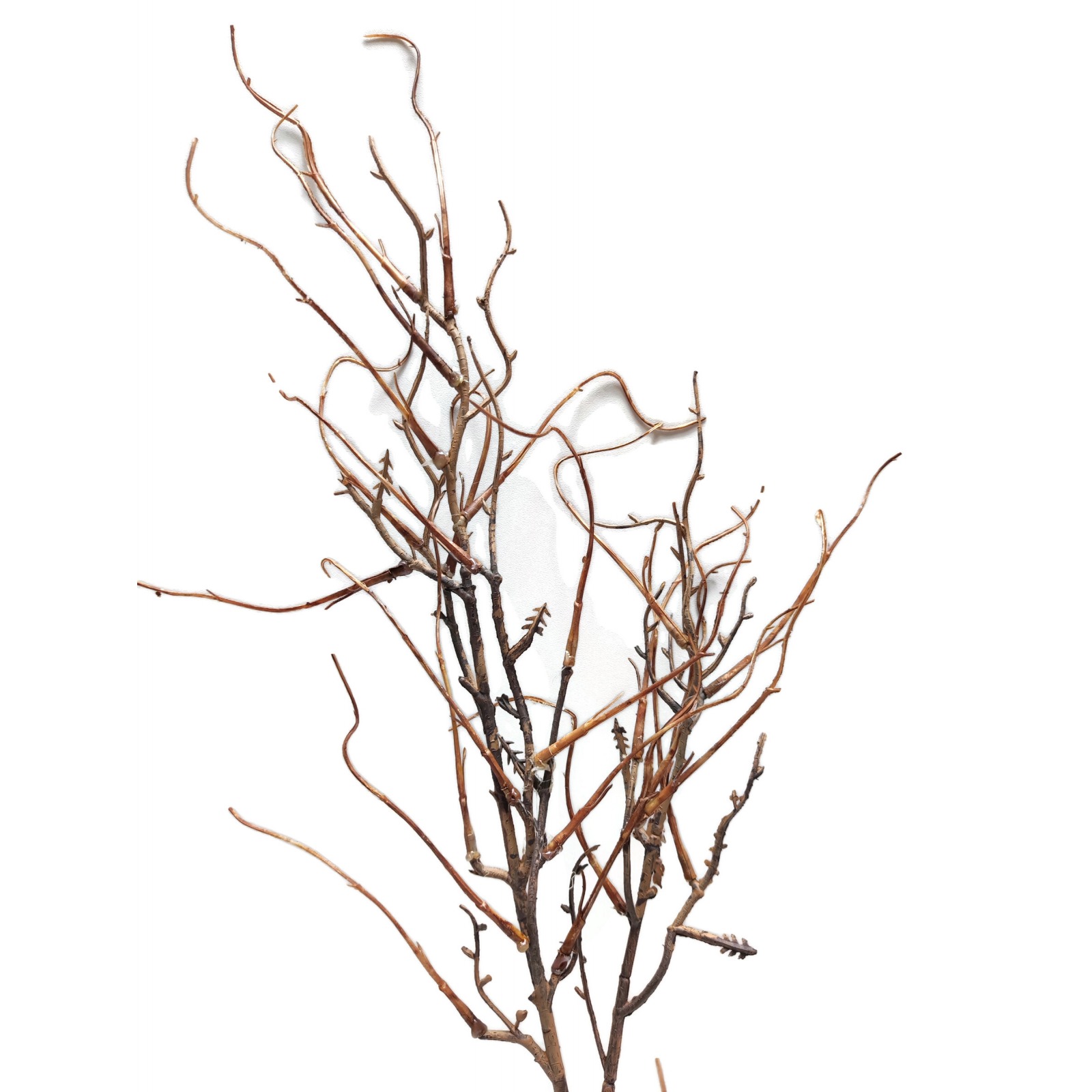 Sztuczna gałązka dekoracyjna 80 cm – kręcona, brązowa