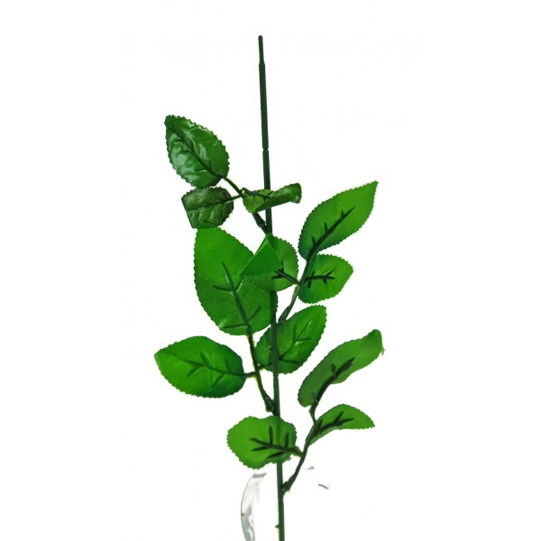 Miniatura: Łodyga do róży zielona 60 cm