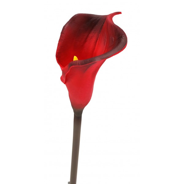 Miniatura: Calla piankowa mix kolorów 65 cm