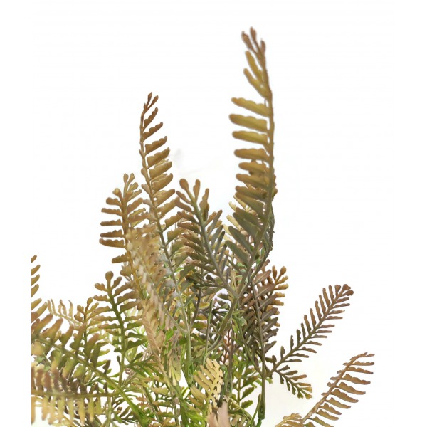 Miniatura: Bukiet paprotki brązowo-zielony 47 cm