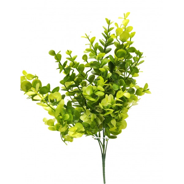 Miniatura: Bukiet eukaliptusa zielono-kremowy 36 cm