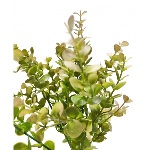 Miniatura: Bukiet eukaliptusa zielono-kremowy 36 cm