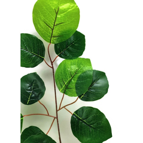 Miniatura: Liść magnolii zielony 70 cm