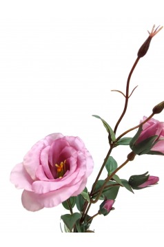 Miniatura: Sztuczna eustoma 55 cm – gałązka kwiatowa dekoracyjna, mix kolorów