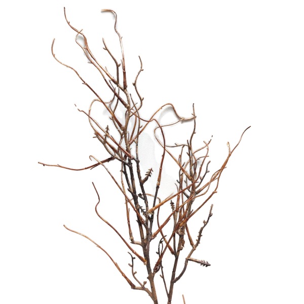 Miniatura: Sztuczna gałązka dekoracyjna 80 cm – kręcona, brązowa