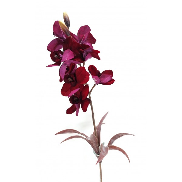Miniatura: Sztuczny storczyk velvet 75 cm