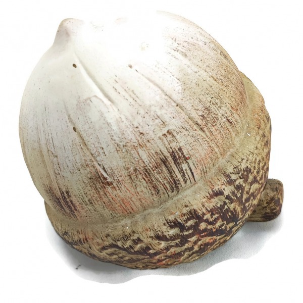 Miniatura: Brązowy żołądź dekoracyjny 16 × 7 × 6,5 cm