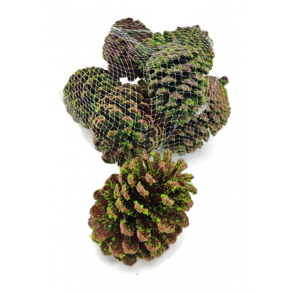 Miniatura: Zielone szyszki dekoracyjne 10–12 cm w siatce
