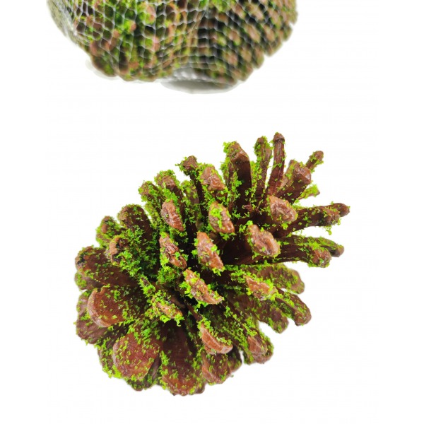 Miniatura: Zielone szyszki dekoracyjne 10–12 cm w siatce