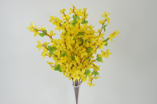 Miniatura: Forsycja''5''