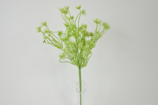 Miniatura: Trachelium pik