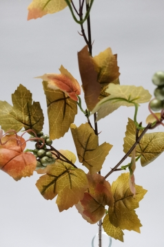 Miniatura: Gałązka winogrona jesienna