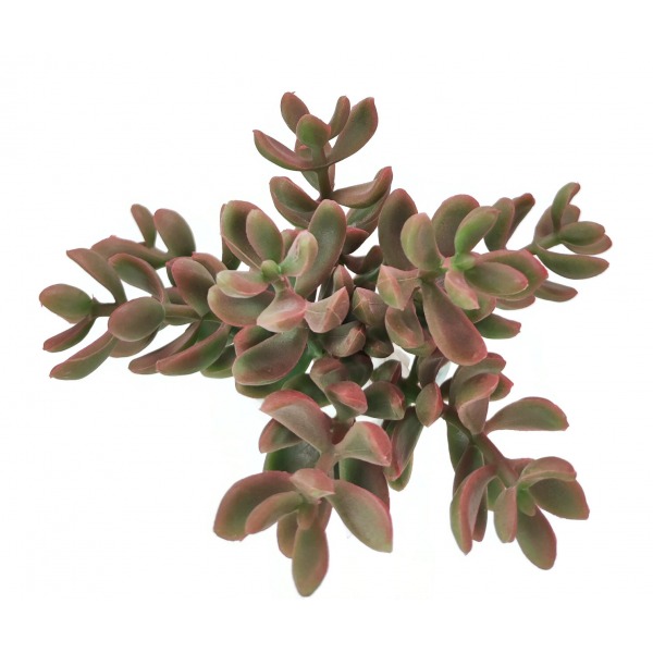 Miniatura: Sztuczny sukulent 12 cm