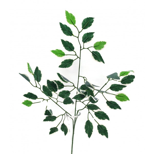Miniatura: Sztuczna gałązka fikusa benjamina 45 cm – zielony liść dekoracyjny, mix wzorów