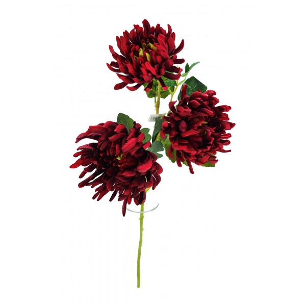 Miniatura: Chryzantema