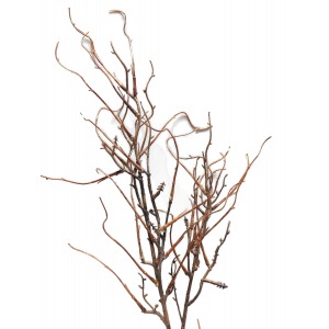 Sztuczna gałązka dekoracyjna 80 cm – kręcona, brązowa