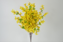Forsycja''5''